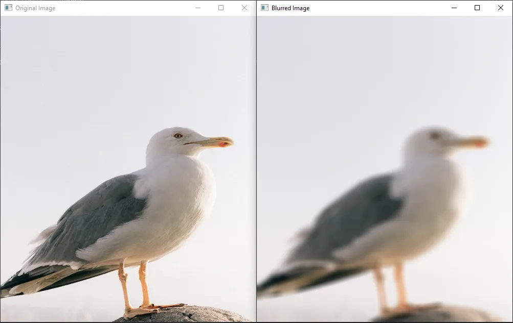 Blur An Image Using OpenCV Library In Python