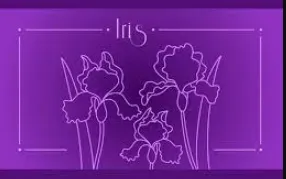 Top 10 Best Internet of Things (IoT) Projects for Beginners